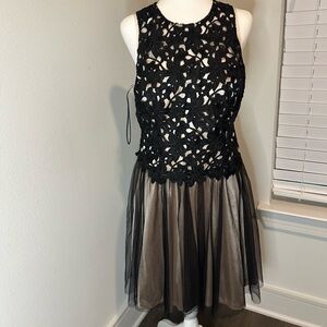 Elegant Black Lace Overlay Dress